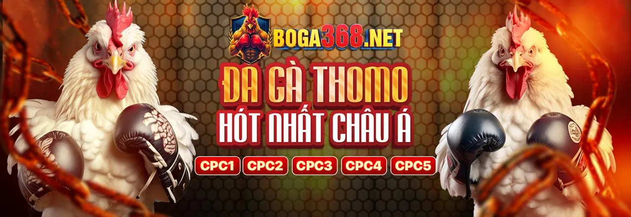 Thưởng Chào Mừng Thành Viên Mới TK888 Win